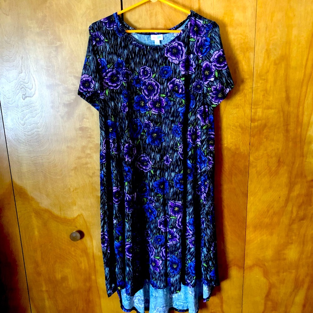 NWOT LuLaRoe Carly dress